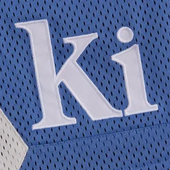 Discount Kith Mesh Turbo Shorts Montage