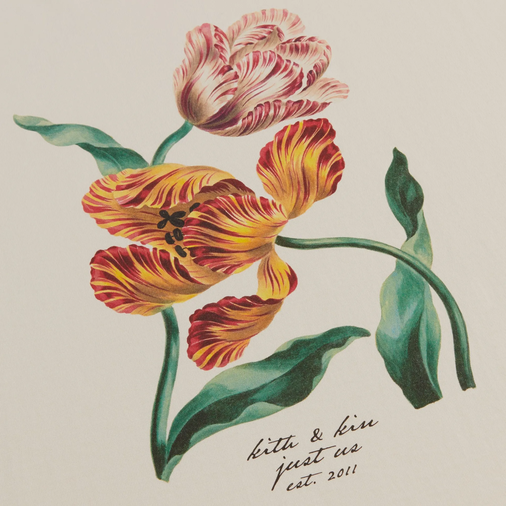 Best Sale Kith Tulip Vintage Tee Sandrift
