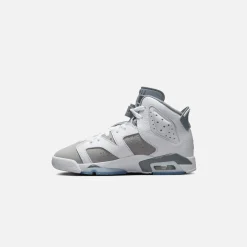 Discount Jordan Nike Grade School Air6 Retro White / Medium Grey / Cool Grey