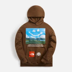 Discount The North Face X Online Ceramics P/O Hoodie Earth Brown